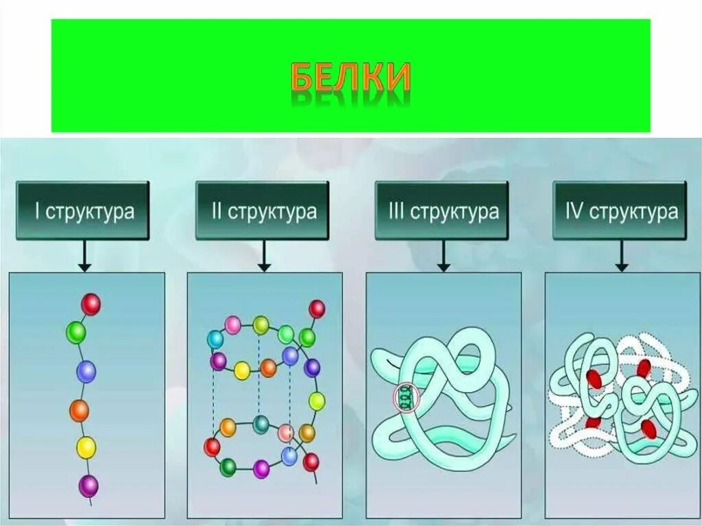 Химическая связь первичной структуры