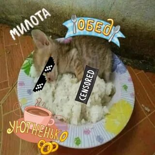 Обед уютненько