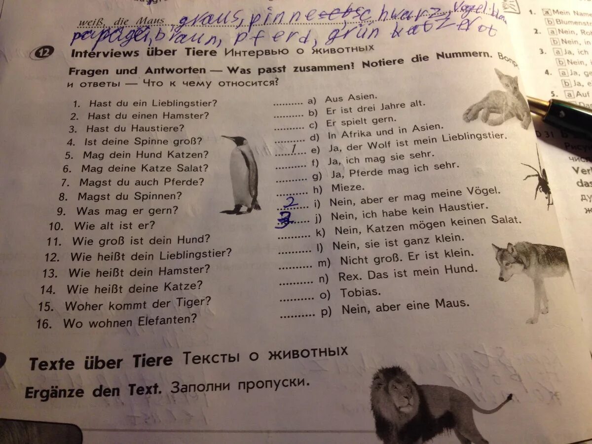 Mein Haustier задания. Немецкий язык 6 класс Fragen und Antworten was passt zusammen. Вопросы по немецкому языку wo ? Ответы. Ответы на вопросы немецкий язык hast du ein Haustier.