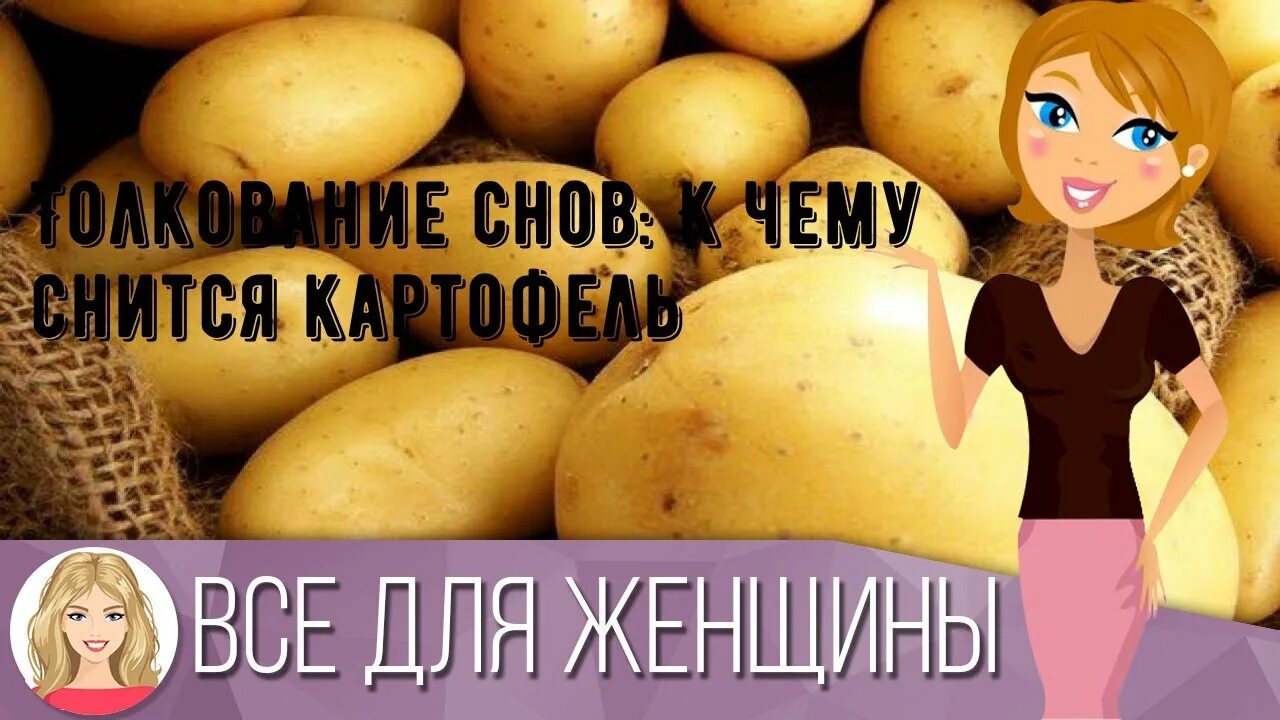 Сонник толкование картошку. Приснилась картошка. к чему снится картофель. сонник-толкование картошка. к чему снится картофель женщине.