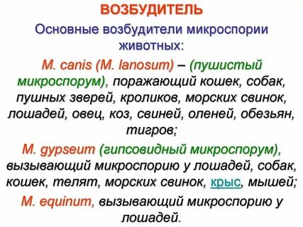 Возбудитель общий