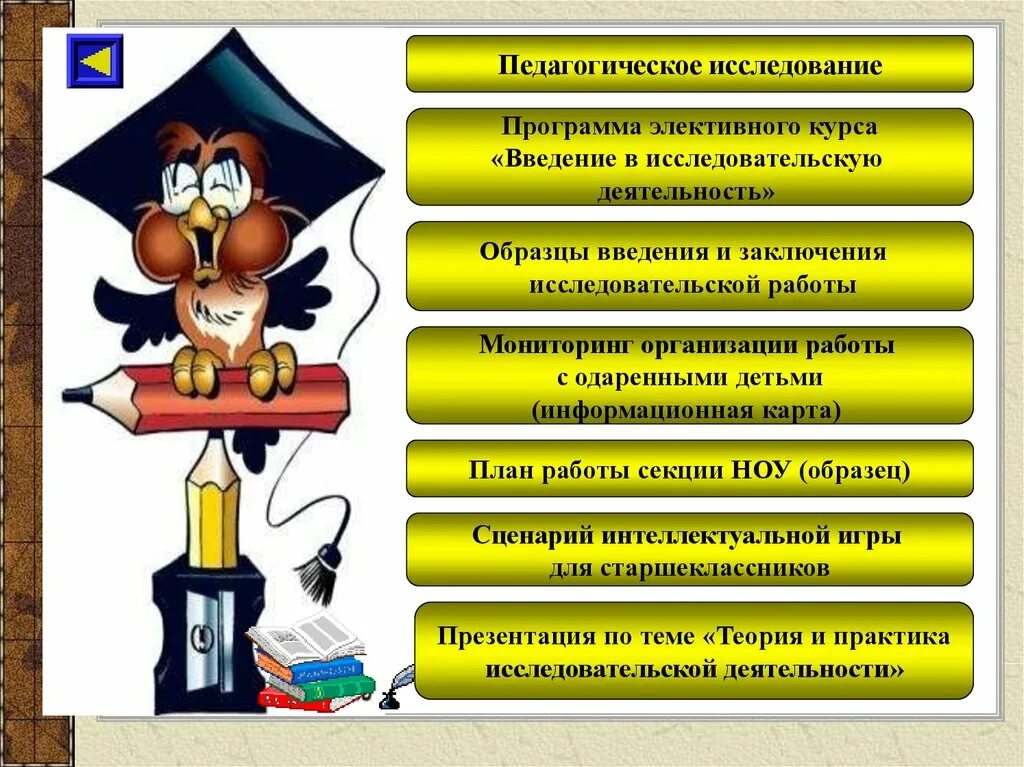 Введение в исследовательскую деятельность. Научная деятельность примеры. особенности введения и заключения исследовательской работы. пример исследовательской работы 10 класс. приложения в исследовательской работе пример.