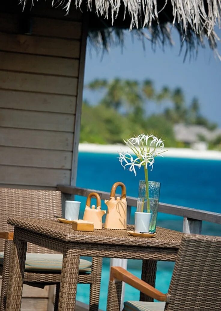 Coco мальдивы. Coco palm bodu hithi 5*. мальдивы коко боду. cocogiri island resort maldives. coco giri мальдивы.