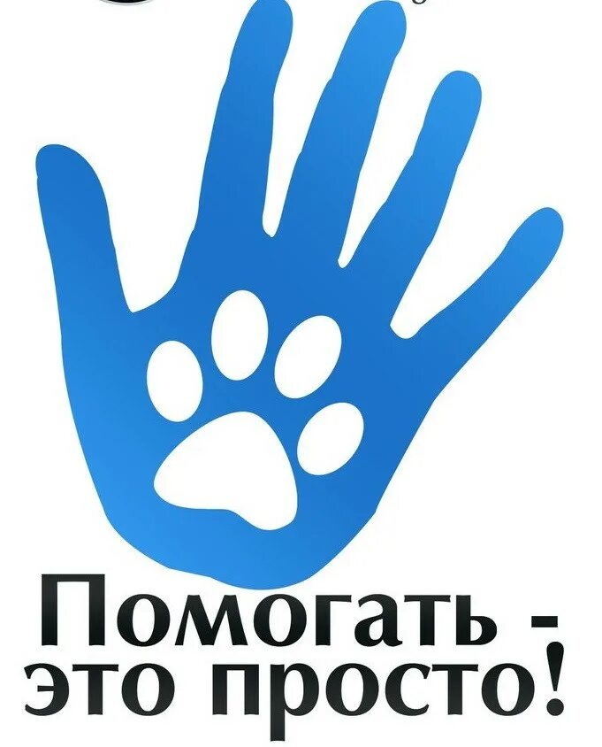 Хвостатая помощь складочная отзывы. Помощь хвостатым. акция поможем хвостикам. помощь хвостикам. акция &quot;помощь хвостикам&quot;..