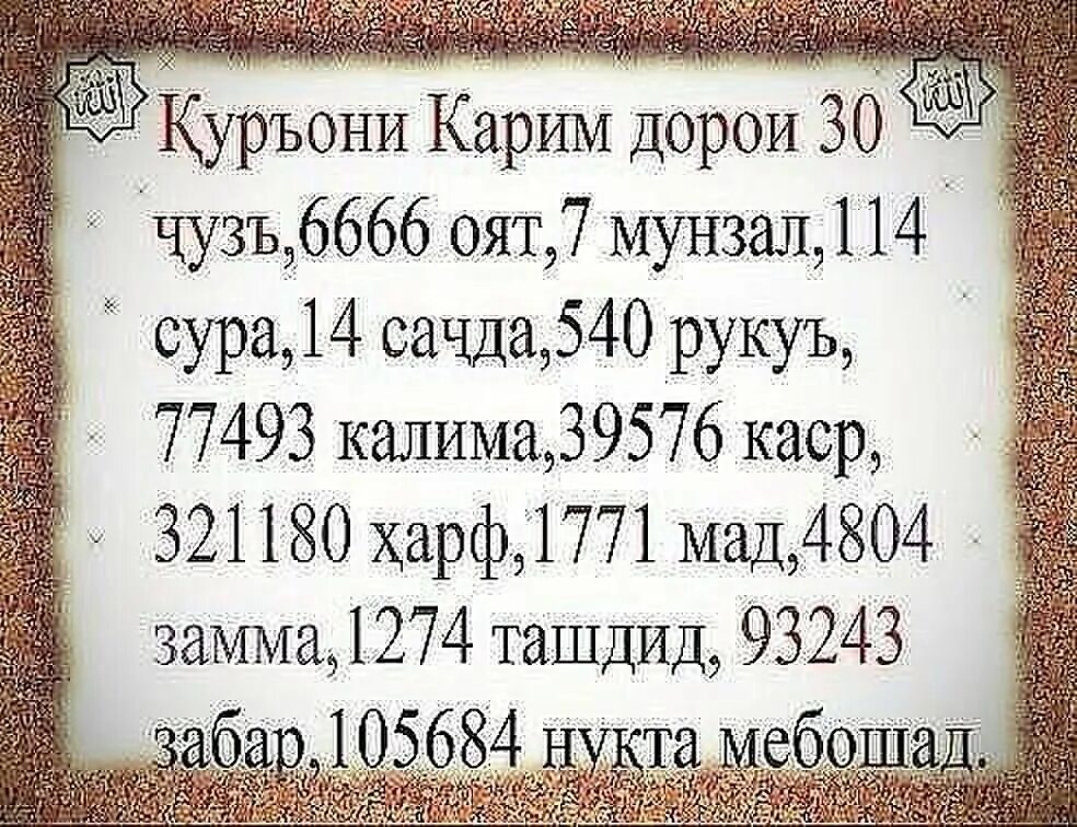 Мучархои сол