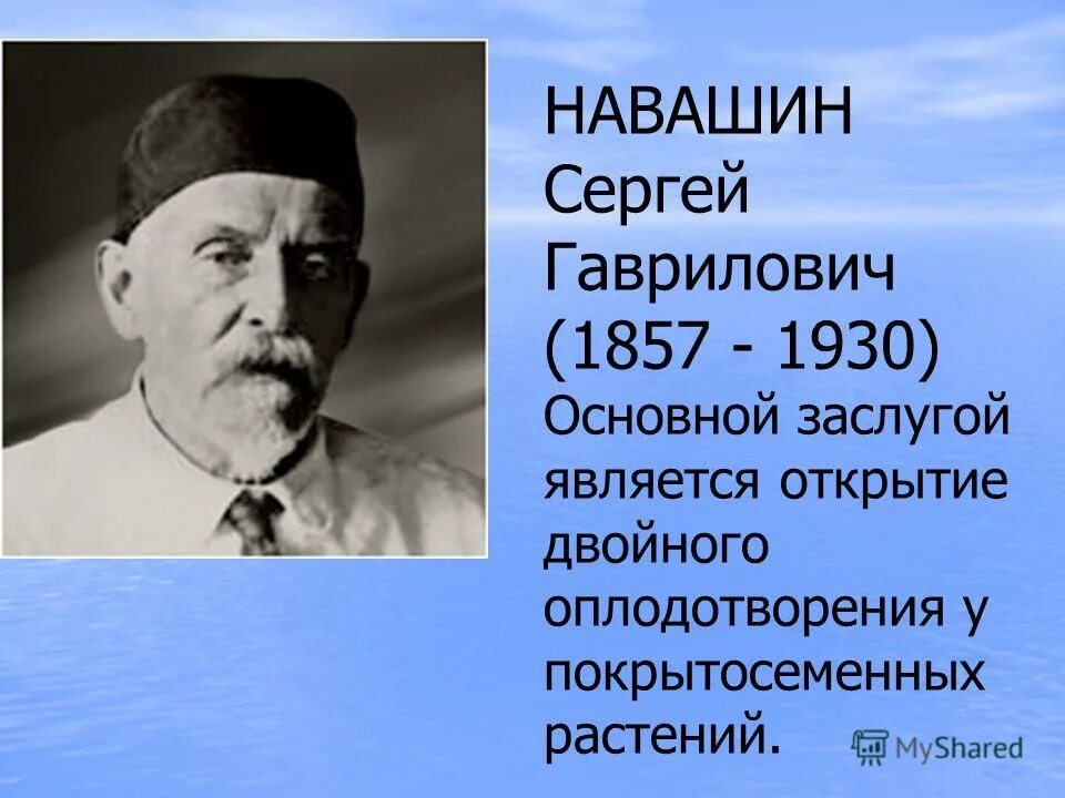 биолог навашин. сергей гаврилович навашин. жизнь и научная деятельность навашина. биолог навашин. сергей гаврилович навашин портрет.