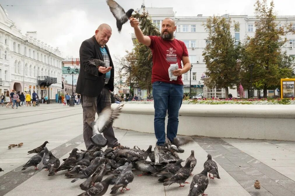 Кормить голубей. Люди кормят голубей. Голуби в Сыктывкаре. Голуби Рязани и области.