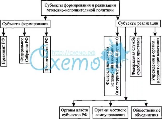 Правовая политика субъекты. Субъекты формирования и реализации уголовно-исполнительной политики. понятие и основные направления уголовно-исполнительной политики.