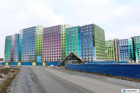 Ромашка мурино