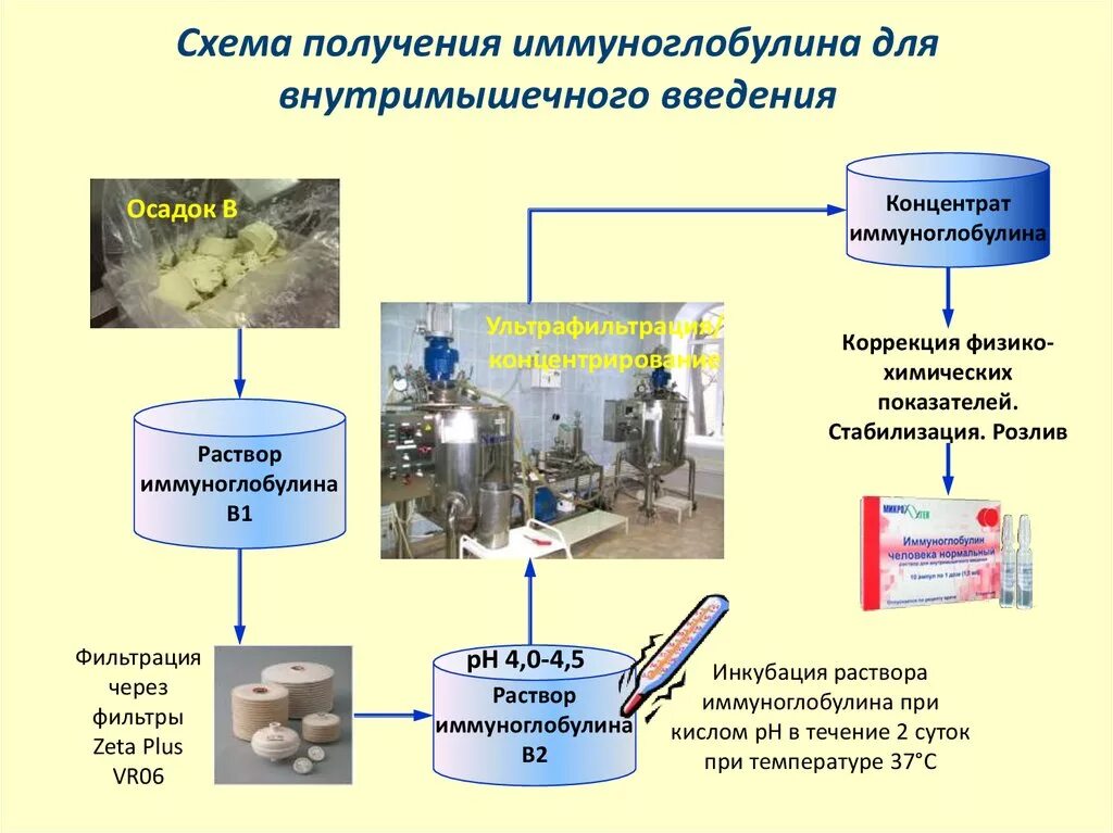 Метод кона. Получение иммуноглобулинов. Способы получения иммуноглобулинов. Очистка иммуноглобулинов. Иммуноглобулины получение применение.