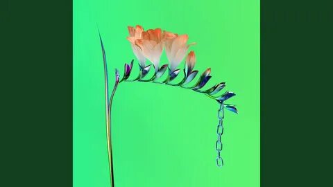 Flume never be