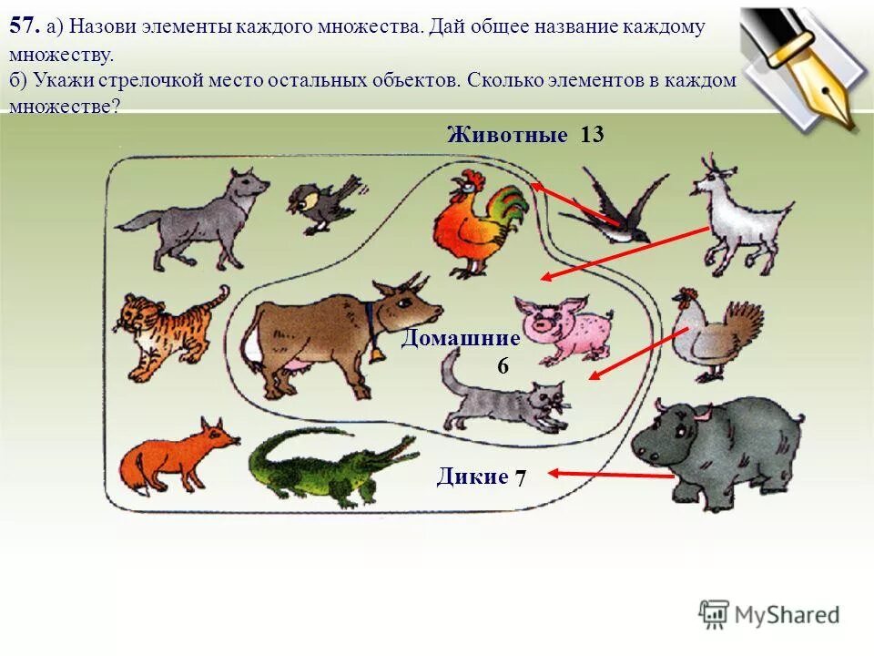 Определи какие элементы множества. Элементы множества. Множество диких животных множество домашних животных. Перечислите элементы множеств. Элементы множества животные.