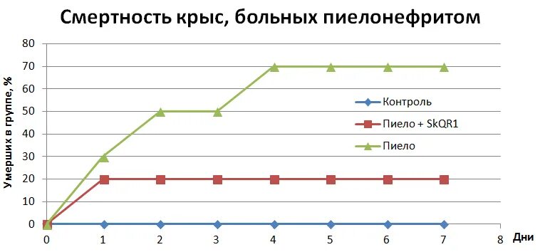 Смерть крыс плоский мир. Смертность крыс. Смерть крыс плоский мир. Смертность крыс. Парализация у декоративных крыс.