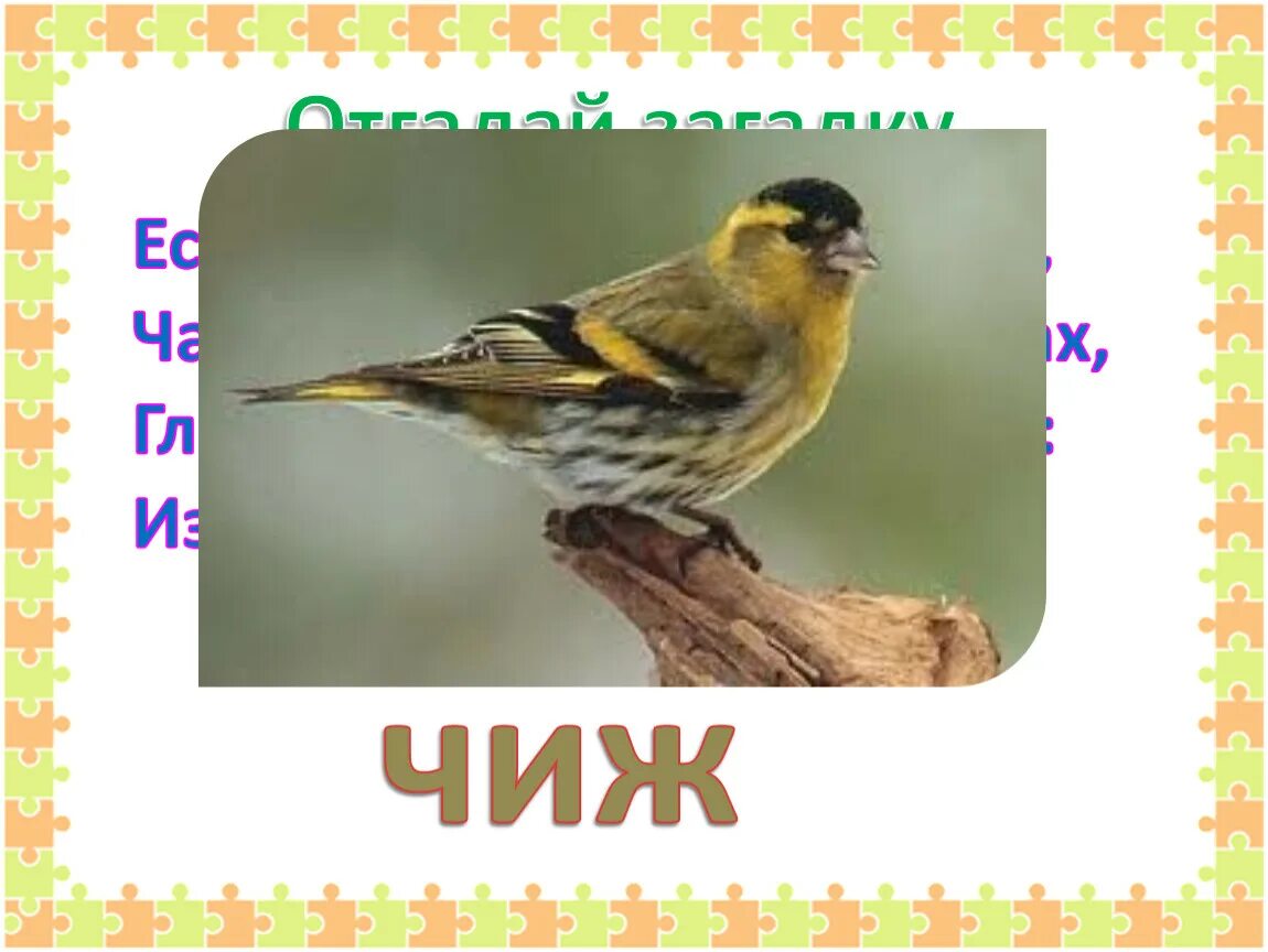 Щебечут чижи составить