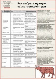 Говядина для тушения какая