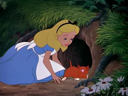 Rabbit hole 34