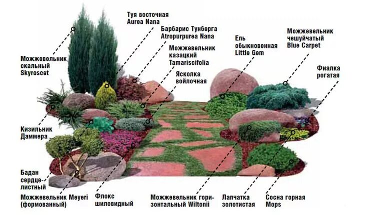 Красивые Клумбы на Даче Своими Руками (220 Фото) +Отзывы Композиции цветников, К