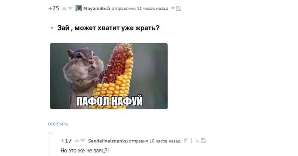 Ты не репер. Зай мои слова не стоят я. 1 класс репер. Анекдоты. Люблю тебя зайка.