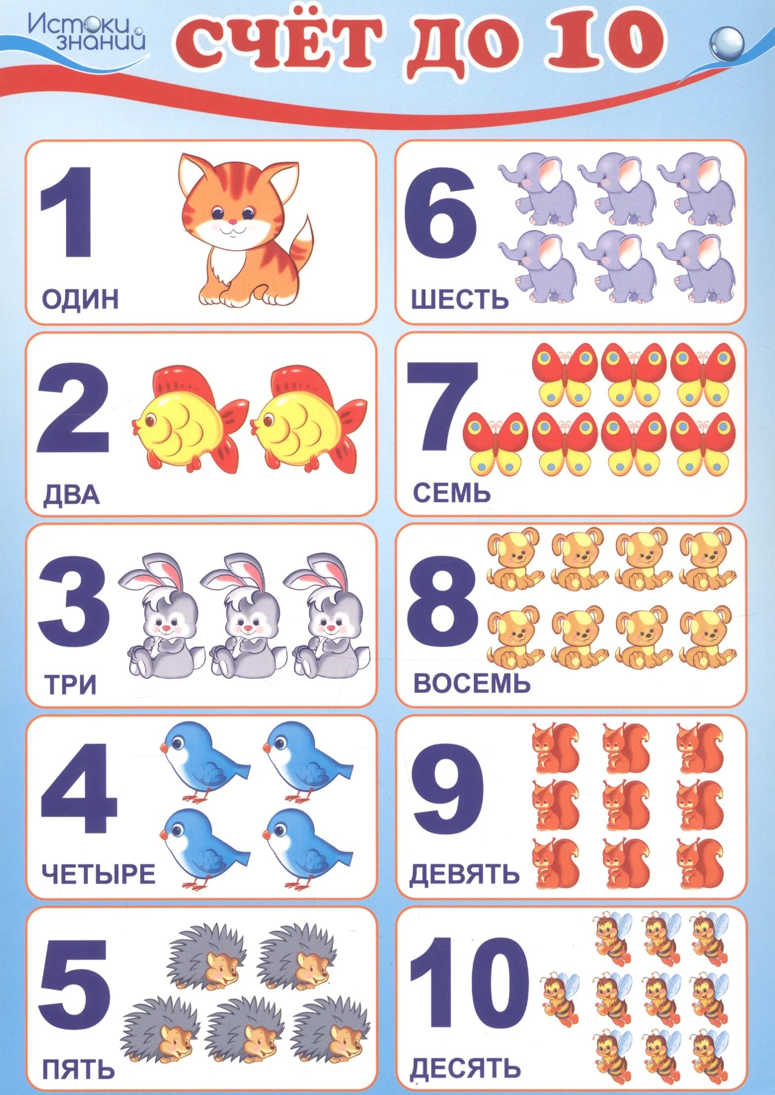 Числа учимся