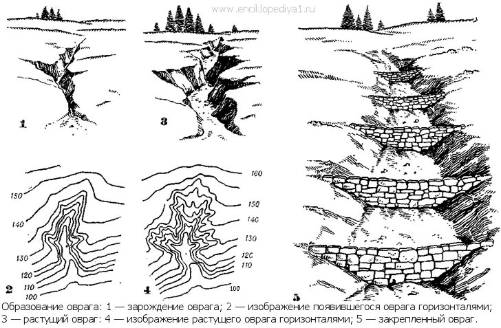 Название частей оврага. Стадия развития овражной эрозии. Овраг размеры. Овраг схема. Развитие оврага.