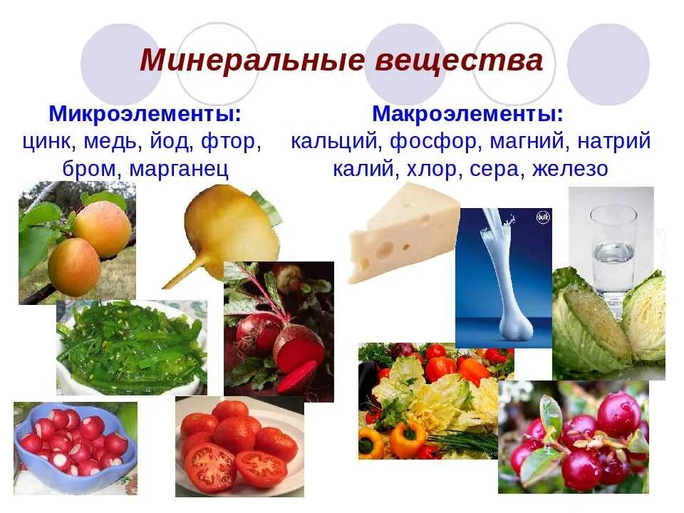 Минералы какие микроэлементы какие. Макроэлементы в пище. минеральные вещества микроэлементы. макроэлементы в продуктах питания. витамины и минеральные вещества в продуктах.