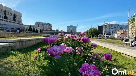 Омск май