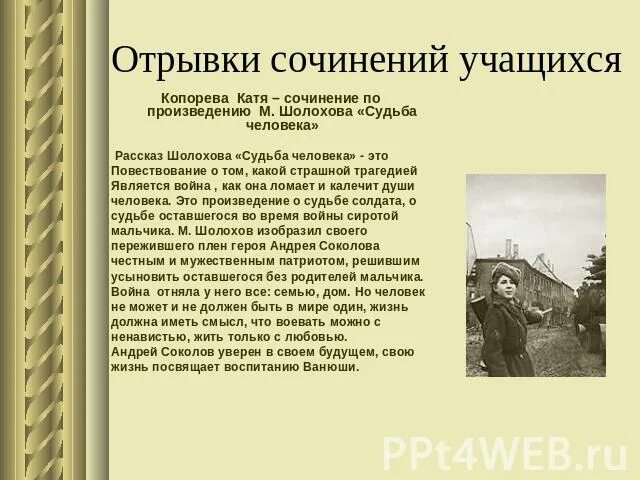 Сочинение по тексту шолохова. Изложение судьба человека Шолохов. Судьба человека сочинение. Отрывок из судьба человека Шолохов. Шолохов судьба человека отрывок.