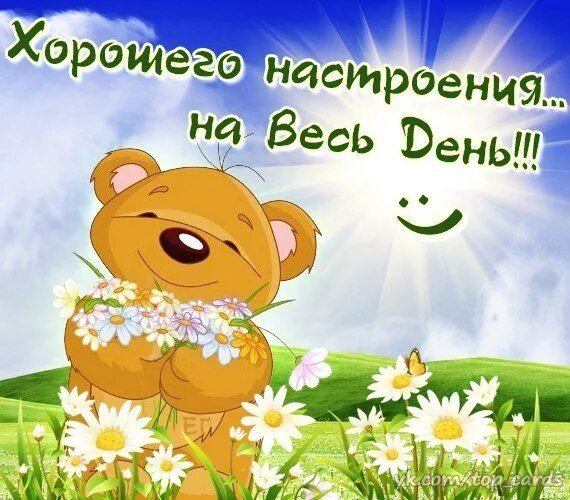 Доброе утро картинки поднимающие настроение. Хорошего настроения любимая. Хорошего дня и отличного настроения любимая. Открытки с добрым утром для поднятия настроения. Хорошего дня Медвежонок.