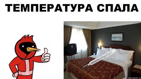 Температура не дает спать