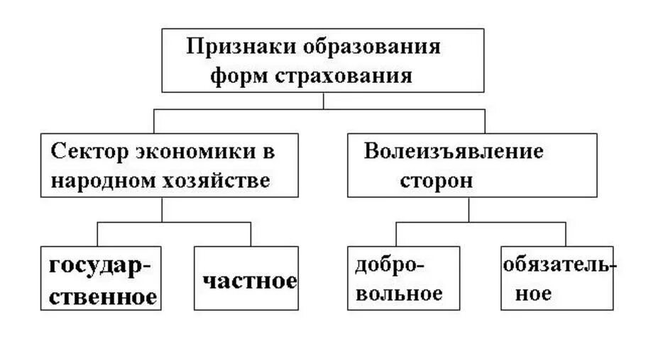 Виды страхования. Линейная структура управления схема плюсы и минусы. Линейная организационная структура управления плюсы и минусы. Отрасли и подотрасли страхования. Формы страховой защиты