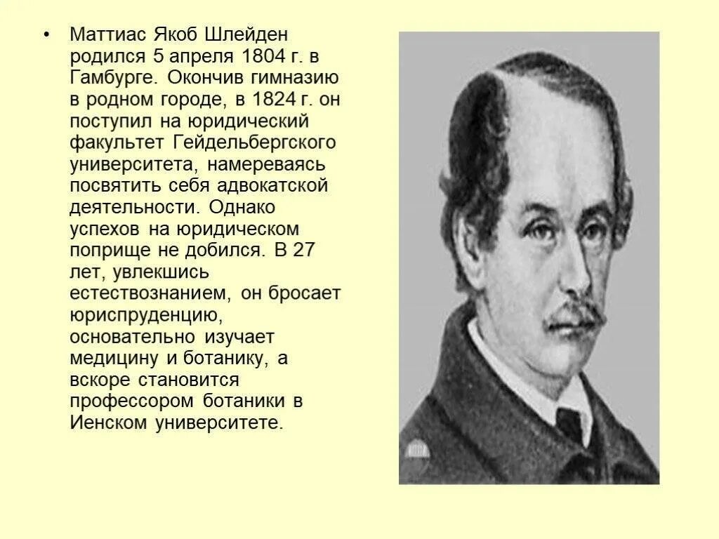 Маттиас шлейден немецкий ботаник. Маттиаса якоба. Шлейден вклад в биологию. Маттиас якоб шлейден (1804-1881). Маттиас якоб шлейден портрет.