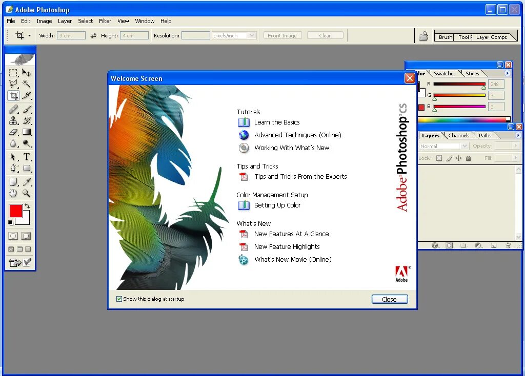 Adobe cs2. Программа перо. Кумир чертежник команды ромб. Информатика чертежник алгоритм. Адоб фотошоп.