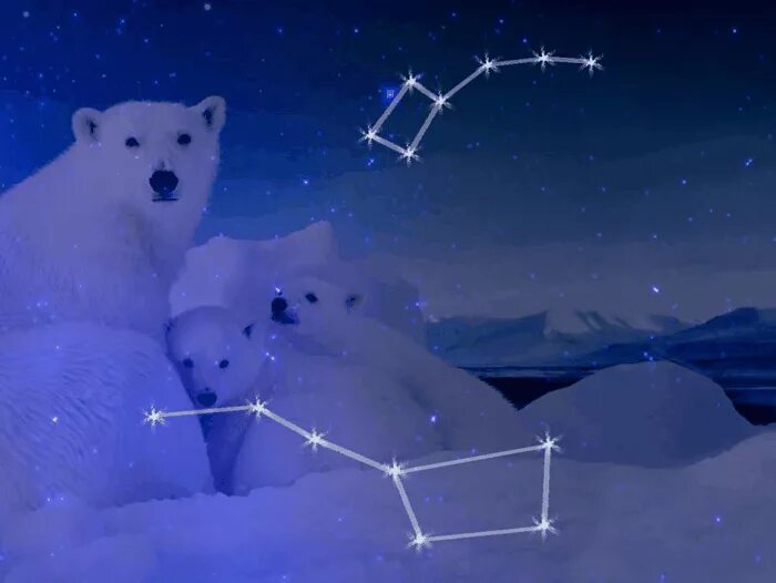 Большая медведица телефоны. Большая Медведица. Белый медведь и Северное сияние. Медведица в Арктике. Белый медведь коллаж.