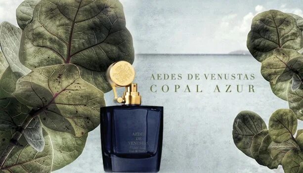 Copal azur. Azur духи. Aedes храм красоты духи. Парфюмерная вода aedes de venustas copal azur. Aedes de venustas дюшофур.