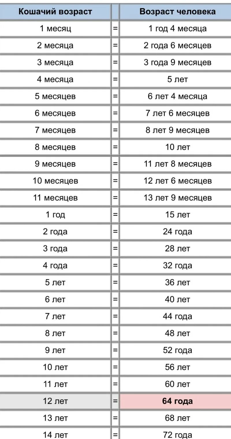 Сколько будет кошке лет по человеческим. Сколько лет кошке по человеческим годам таблица. Возраст кошки по человеческим меркам таблица. Таблица возраста кошек по человеческим меркам таблица. Кошке 8 лет сколько по человеческим меркам таблица.