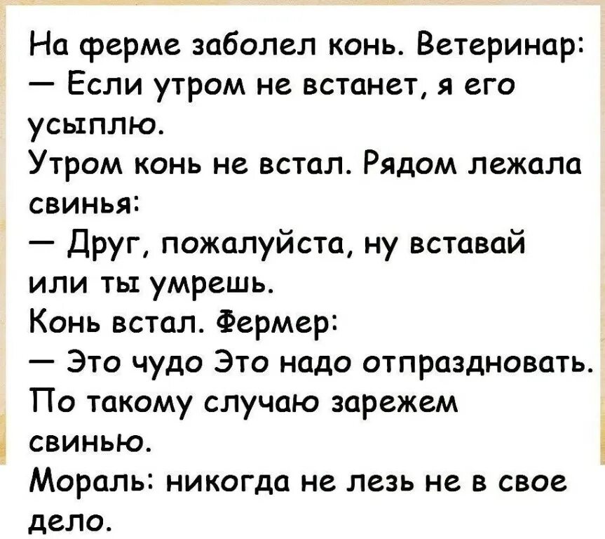 На ферме заболел конь. Анекдот про свинью и лошадь. Анекдот про свинью. Анекдот на ферме заболел конь.