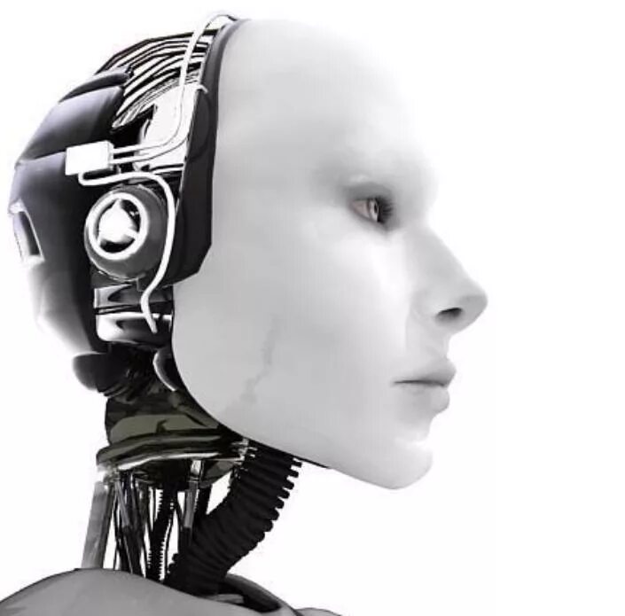 Бертольт мейер биоробот. Биороботы инопланетян. Биоробот дмитрия позднякова. Бионический робот человек. Биороботы среди нас.