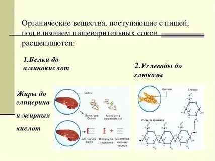 Органические кислоты и жиры