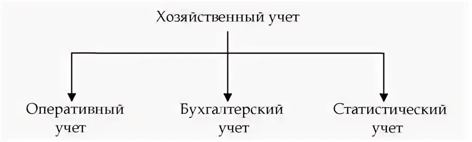 Хозяйственный учет функции. Хозяйственный учет функции