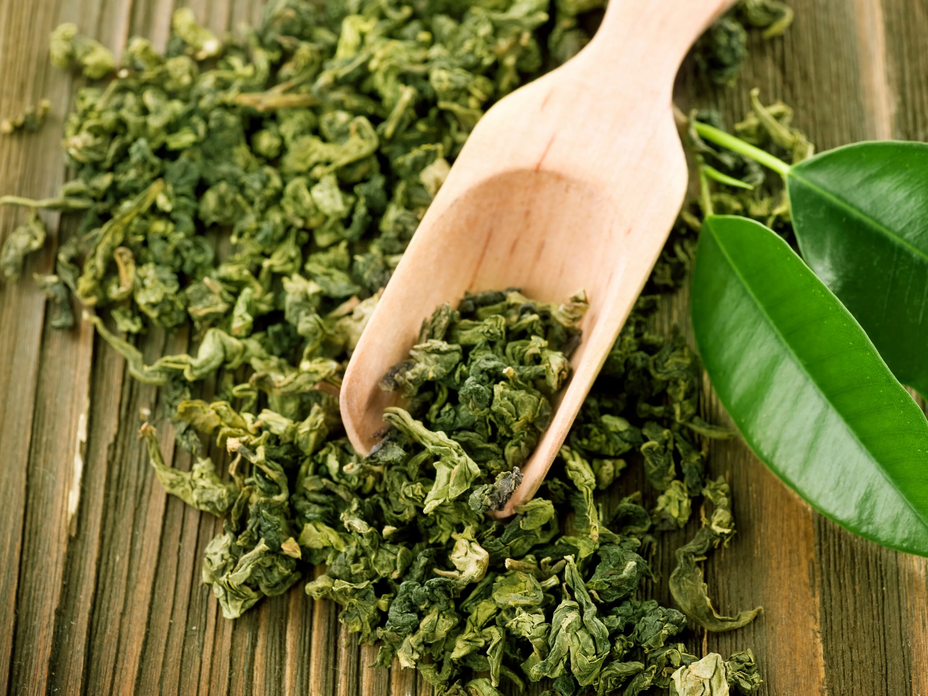 Вреден ли зеленый. Зеленый чай. Чайный лист. Красивые чайные листья. Чай фото.