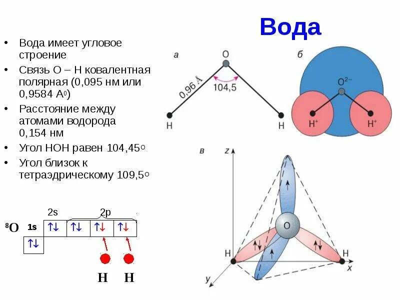 Пространственное строение озона плоское. H2o строение молекулы. пространственная структура молекулы h2o.