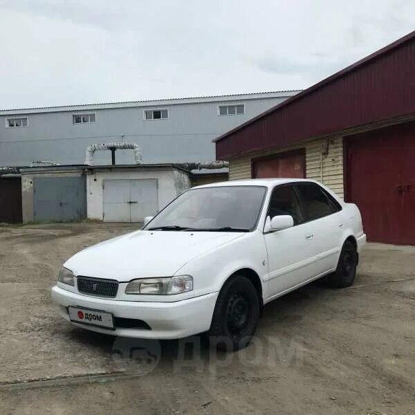 Тойота спринтер 1999. Белая Тойота Спринтер 99 года. Toyota Sprinter 1999. Тойота Спринтер 99 года.