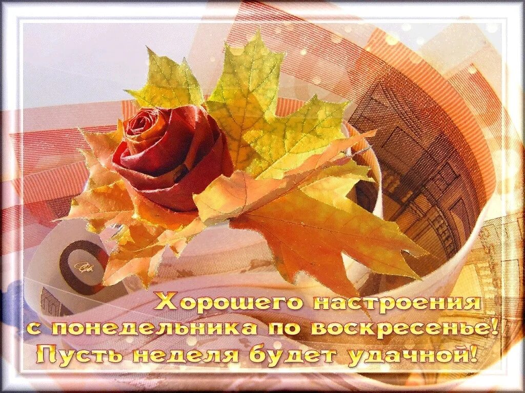 С началом новой доброго дня