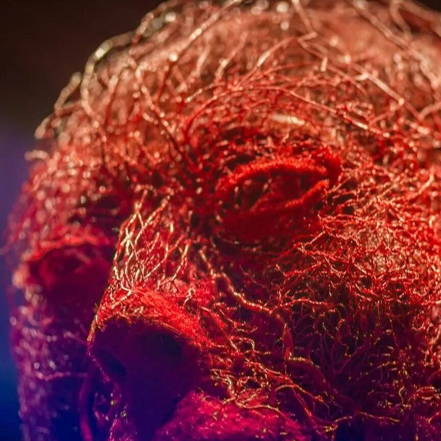 эритроцит 3д. капиллярные сосуды человека. кровеносные сосуды. кровяные тела. красные кровяные клетки.