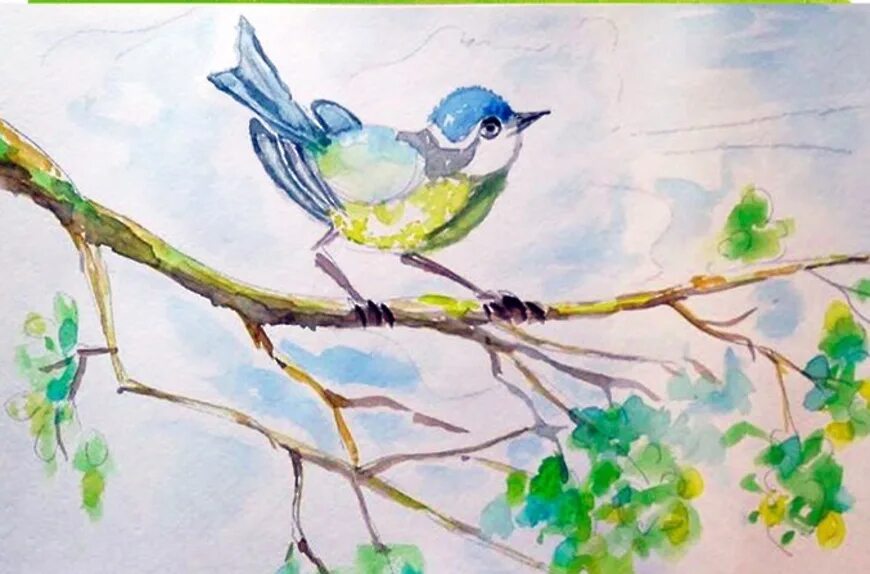 Птицы весной 2 класс. Рисование весенних птиц. Весенние рисунки для детей. Птицы родного края.