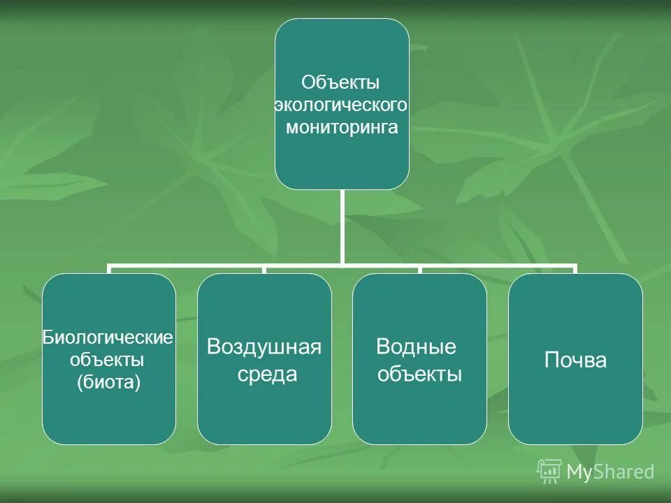 Объекты экологического мониторинга. Объекты мониторинга экология. Основные объекты экологического мониторинга. Экомониторинг природных сред. Эколингвистика