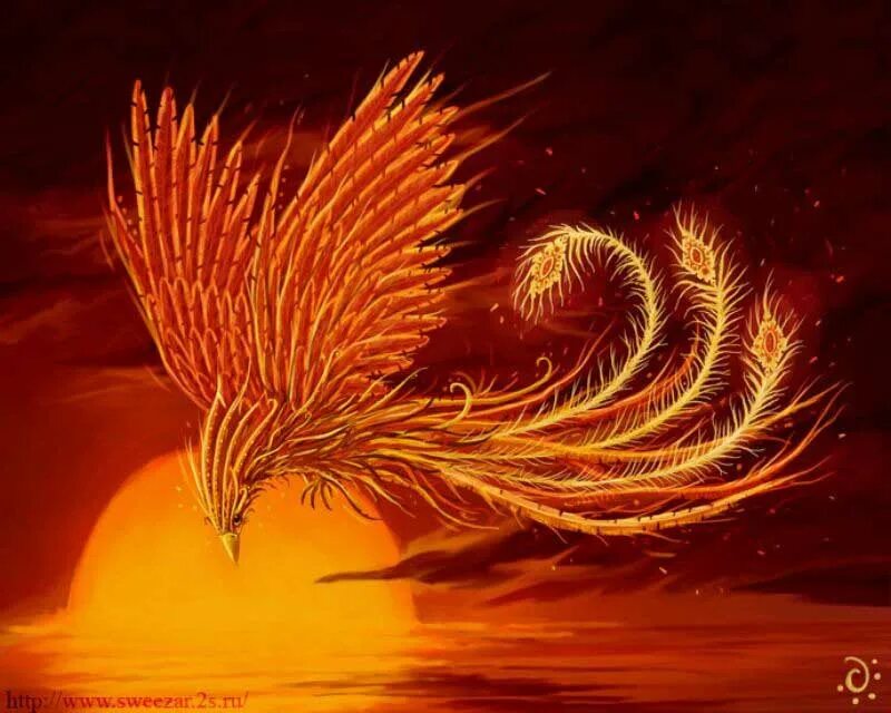 птицы золотого солнца. птицы золотого солнца.