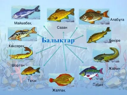 Балериналардың мысықтары