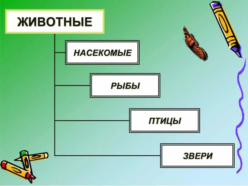 Какому жанру относится изображение птиц животных. Птицы рыбы насекомые. Птицы, рыбы и звери. Птицы звери насекомые. Звери рыбы насекомые.