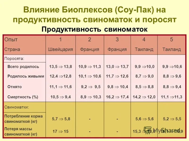 продуктивность свиноматок таблица. показатели продуктивности в свиноводстве. средние показатели продуктивности свиноматок разных семейств. средние показатели продуктивности свиноматок разных семейств. мясная продуктивность свиней.
